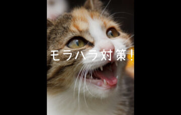 モラハラ3つの対策 カウンセラーに依頼する前に